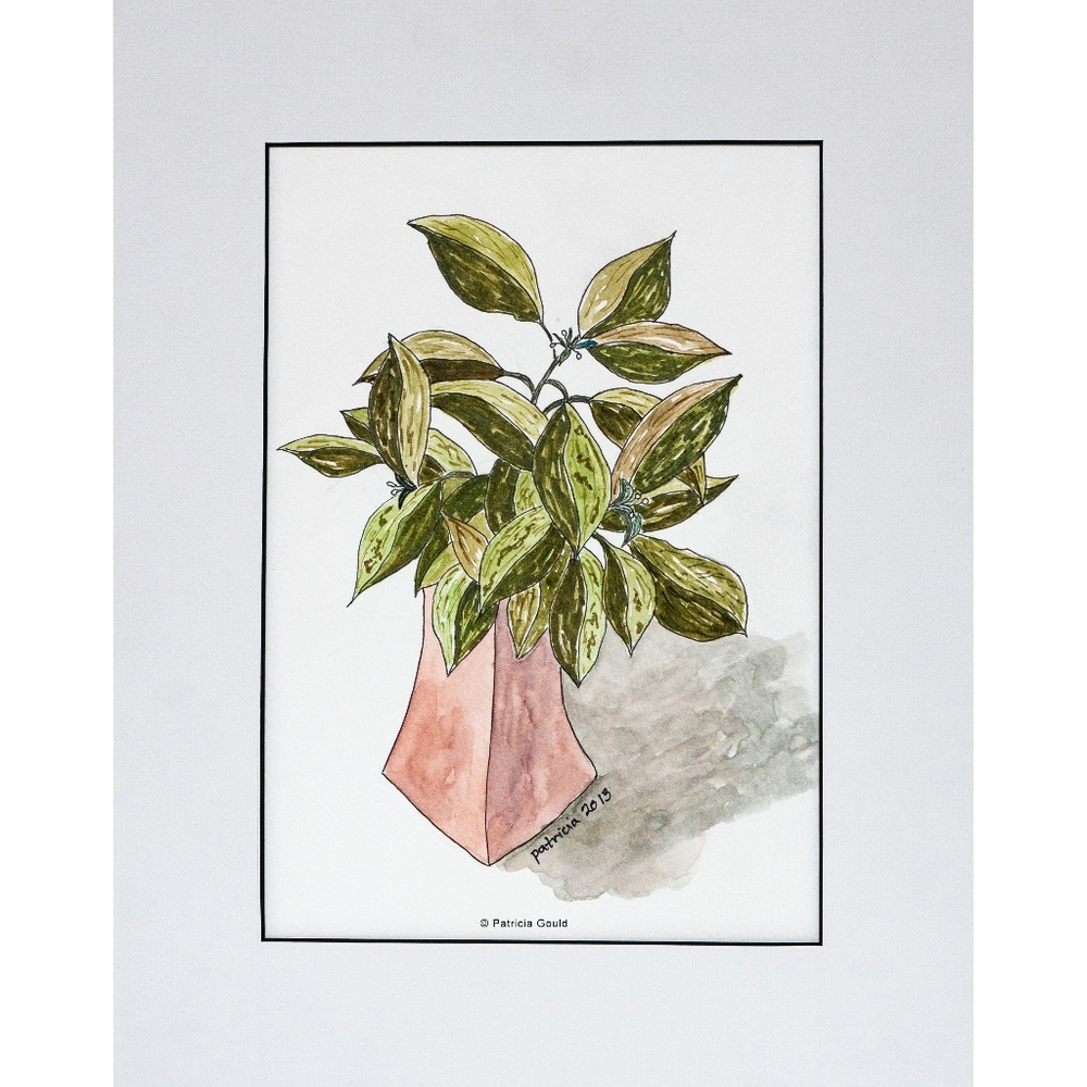 Laurel, still life, watercolor on paper - matted and ready to frame